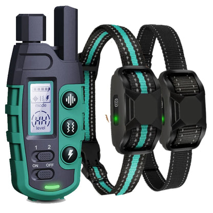 Dual Dog Training E - Collar