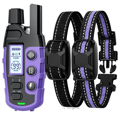 Dual Dog Training E - Collar