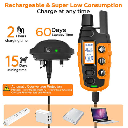 Dual Dog Training E - Collar