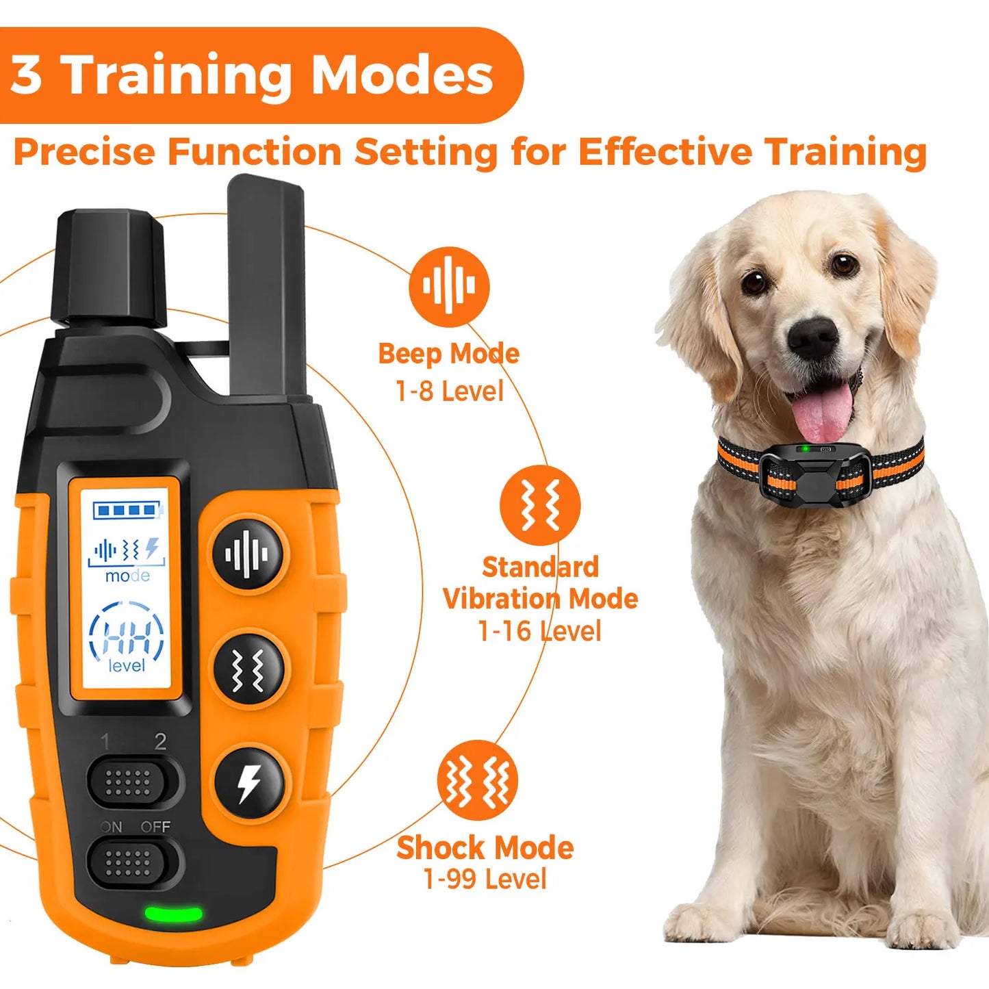 Dual Dog Training E - Collar