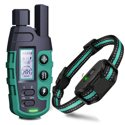 Dual Dog Training E - Collar