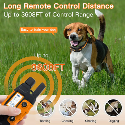 Dual Dog Training E - Collar