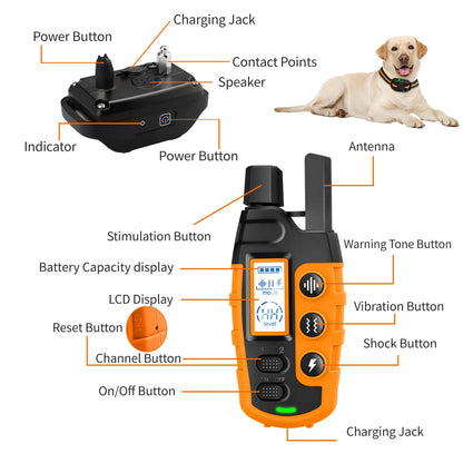 Dual Dog Training E - Collar