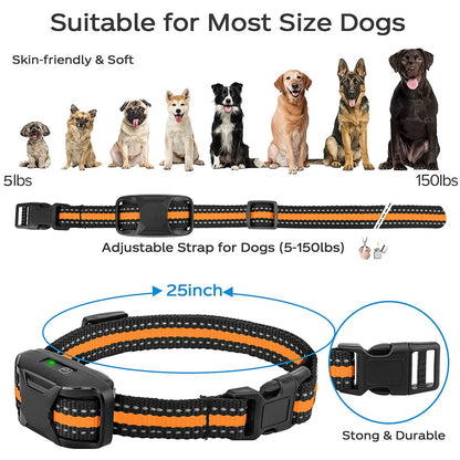 Dual Dog Training E - Collar